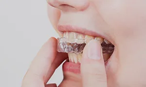 보조장치